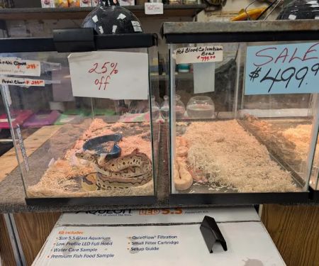 Tomu2019s Tropicals