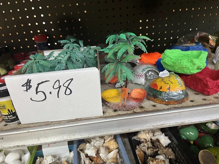 Tom’s Tropicals Picture 2