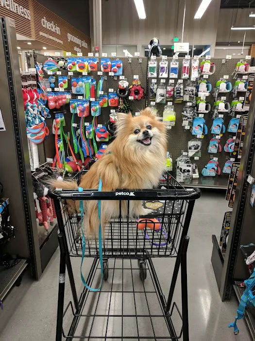Petco Picture 8