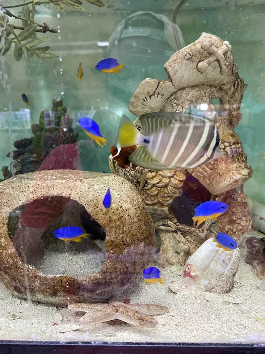 Go Fish LLC Picture 10