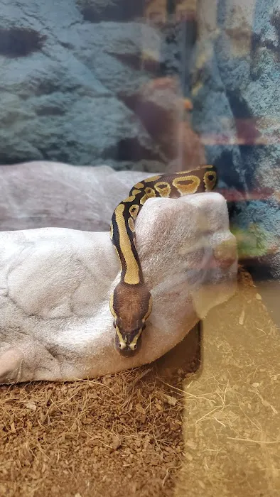 Petco Picture 1