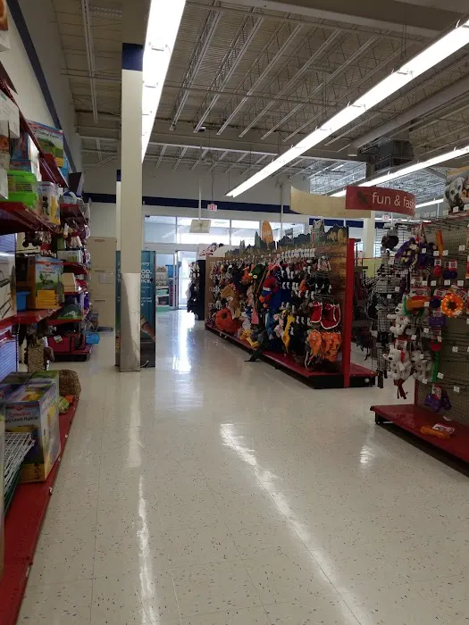 Petco Picture 9