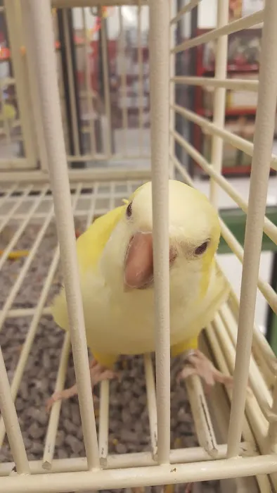 Petco Picture 3