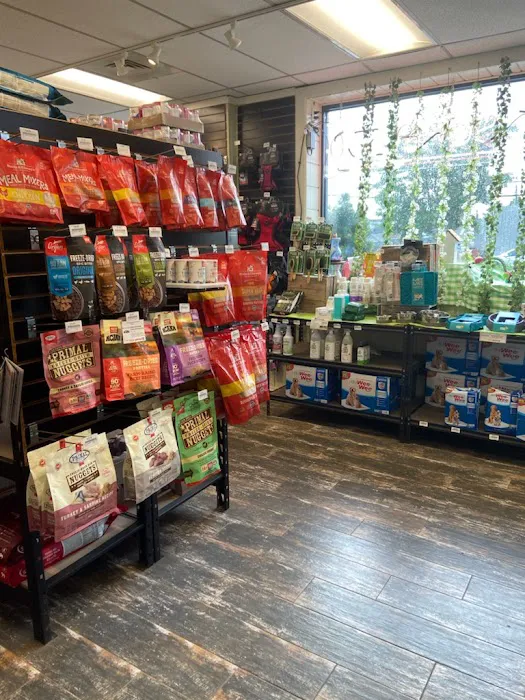 Playful Paws Pet Supply Picture 8