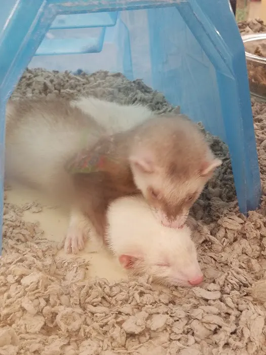 Petco Picture 3