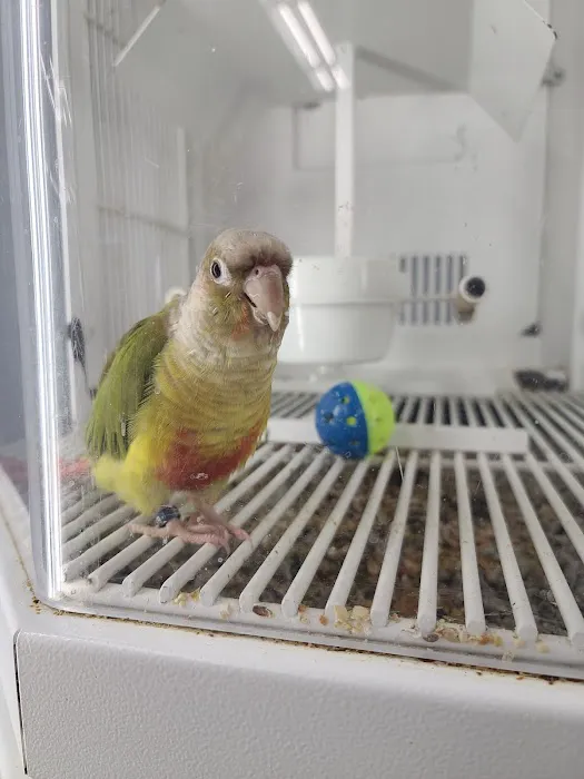 Petco Picture 1
