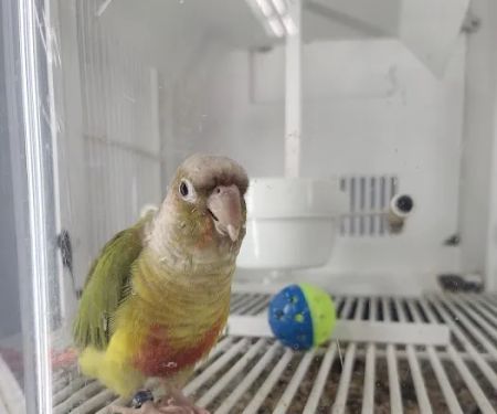 Petco