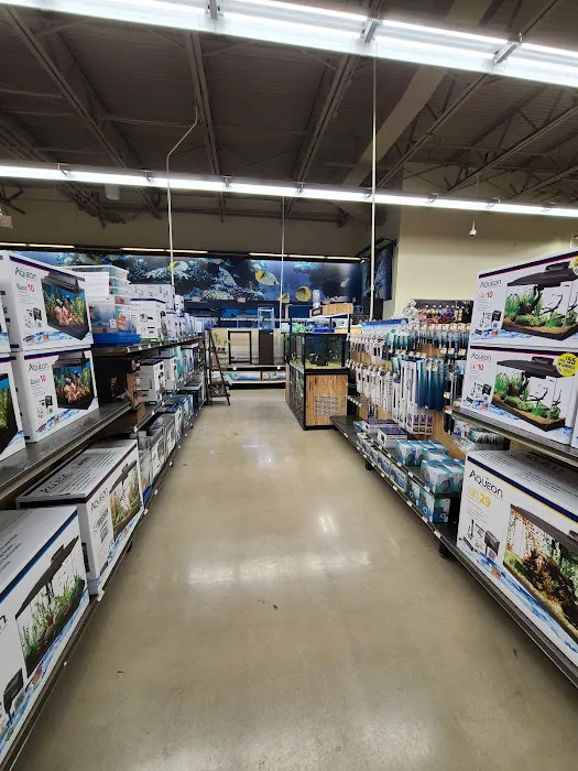 Petco Picture 6