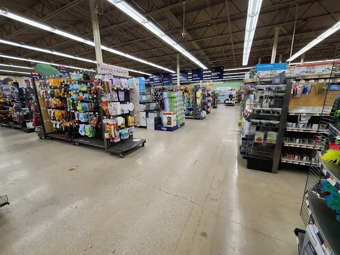 Petco Picture 9