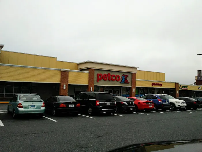Petco Picture 4