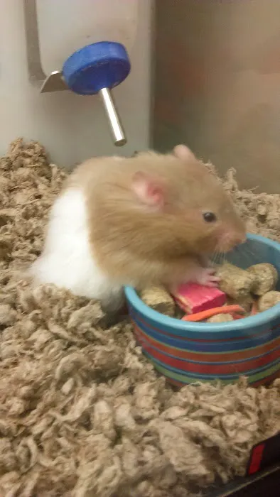 Petco Picture 10