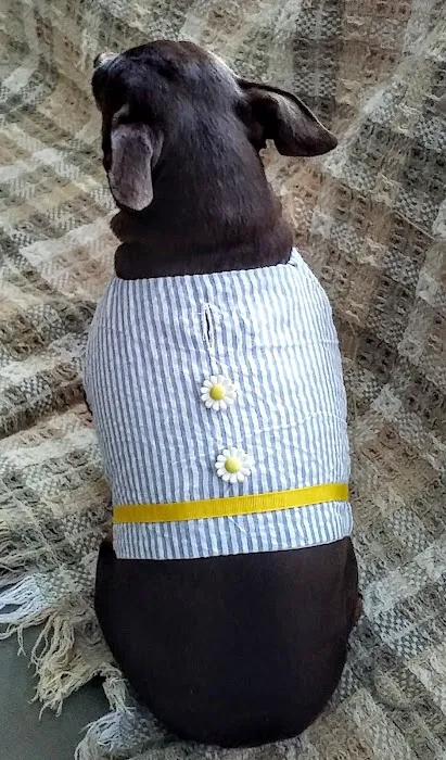 my best in show Picture 10