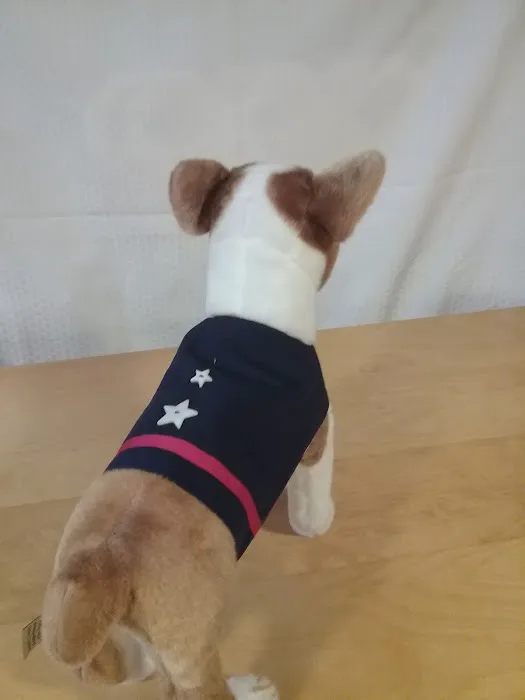 my best in show Picture 2
