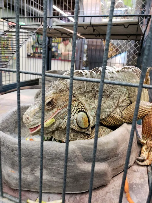 Wet Pet & Reptile Center now Tipping the Scales Picture 3