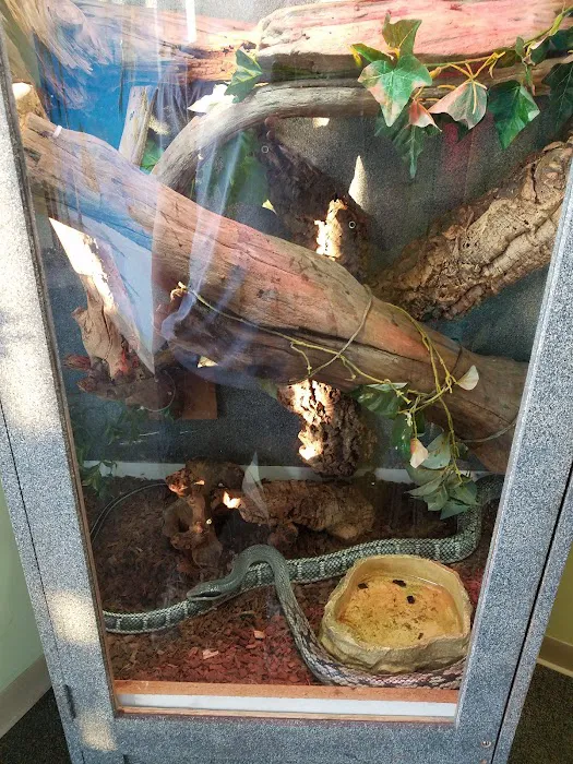 Wet Pet & Reptile Center now Tipping the Scales Picture 10