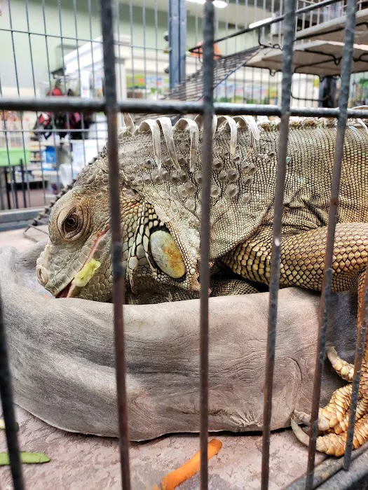 Wet Pet & Reptile Center now Tipping the Scales Picture 4