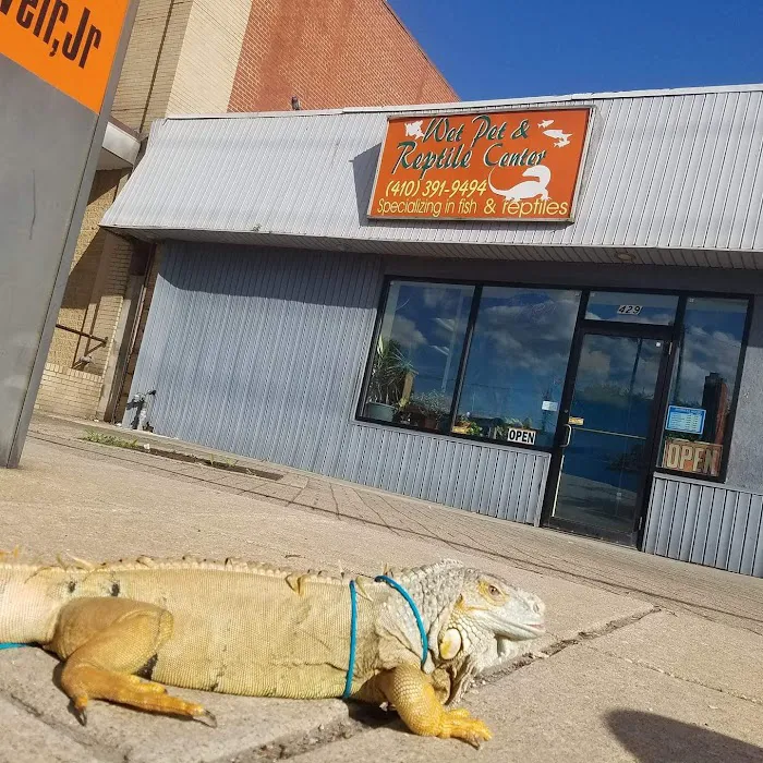 Wet Pet & Reptile Center now Tipping the Scales Picture 2