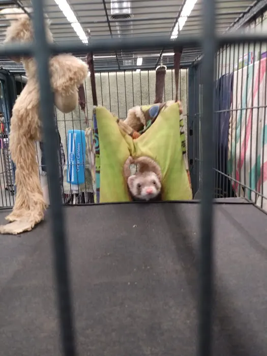Wet Pet & Reptile Center now Tipping the Scales Picture 1