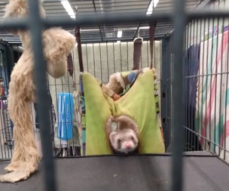 Wet Pet & Reptile Center now Tipping the Scales