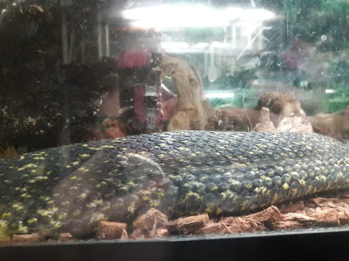 Wet Pet & Reptile Center now Tipping the Scales Picture 5