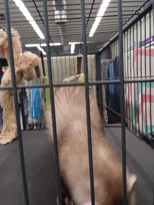 Wet Pet & Reptile Center now Tipping the Scales Picture 6