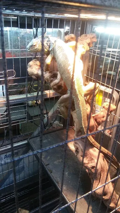 Wet Pet & Reptile Center now Tipping the Scales Picture 8