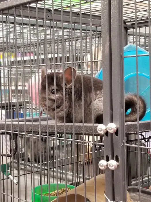 Wet Pet & Reptile Center now Tipping the Scales Picture 7
