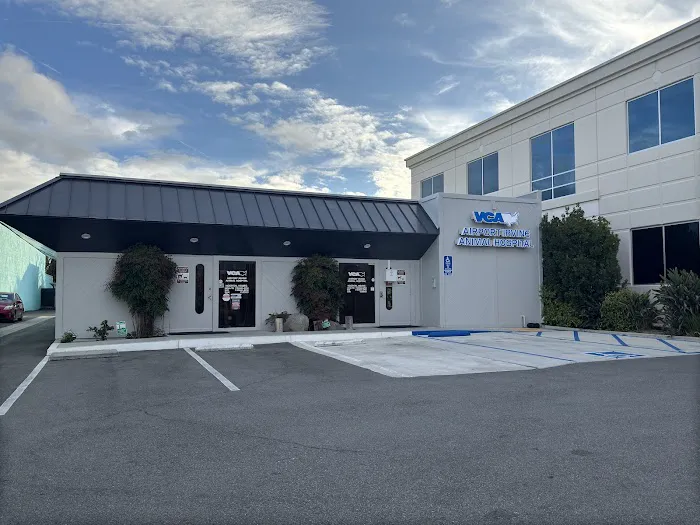 VCA Airport Irvine Animal Hospital Picture 8