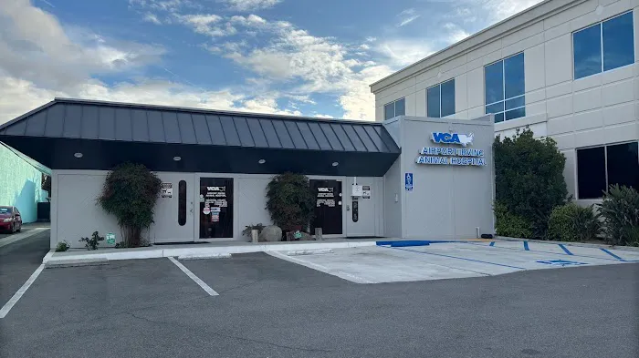 VCA Airport Irvine Animal Hospital Picture 10