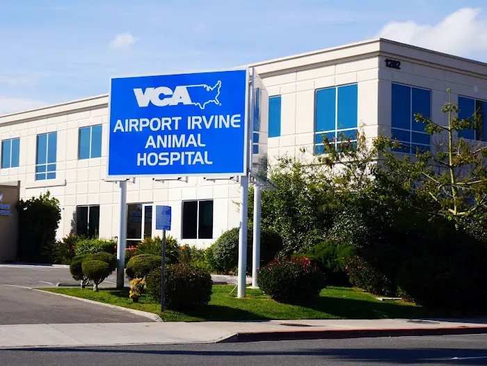 VCA Airport Irvine Animal Hospital Picture 6