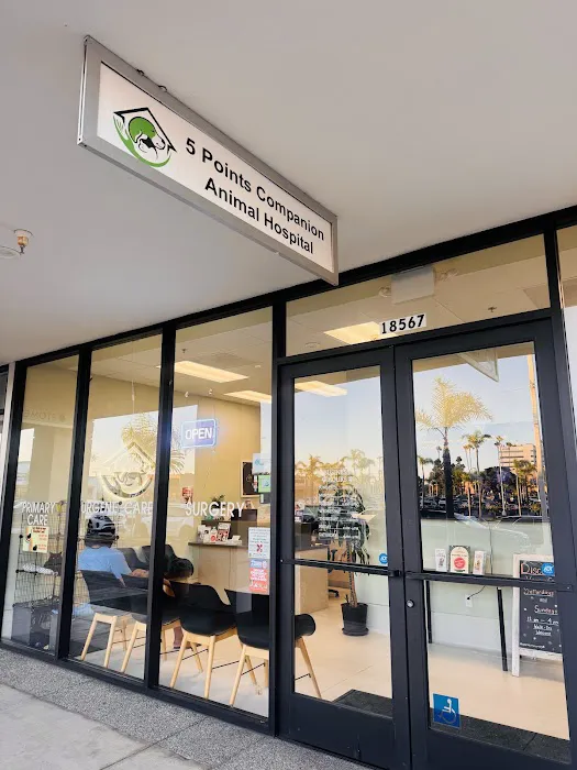 5 Points Companion Animal Hospital Picture 4