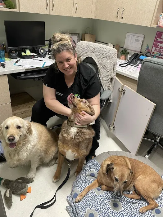 5 Points Companion Animal Hospital Picture 3