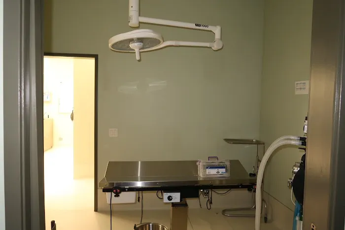 5 Points Companion Animal Hospital Picture 9