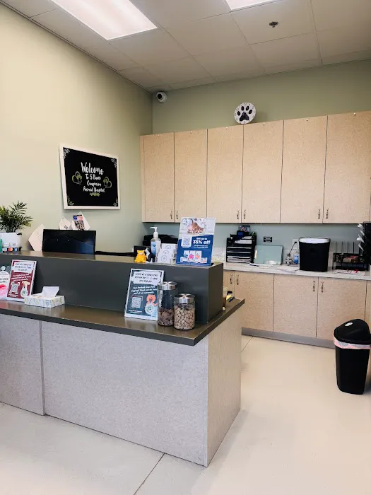 5 Points Companion Animal Hospital Picture 2