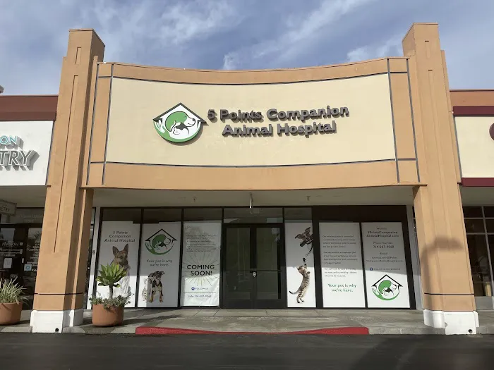 5 Points Companion Animal Hospital Picture 10