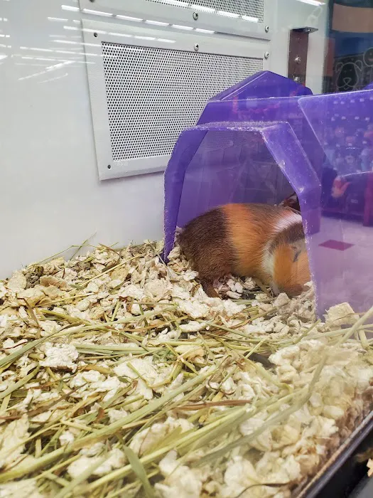 Petco Picture 5