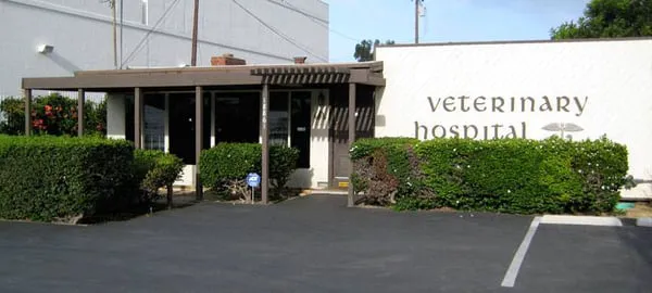 Beach Garfield Veterinary Hospital Picture 4