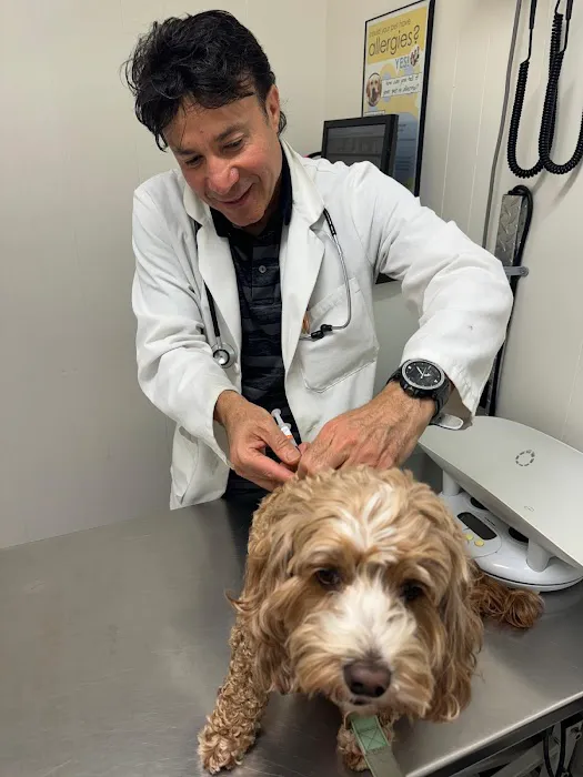 Beach Garfield Veterinary Hospital Picture 10