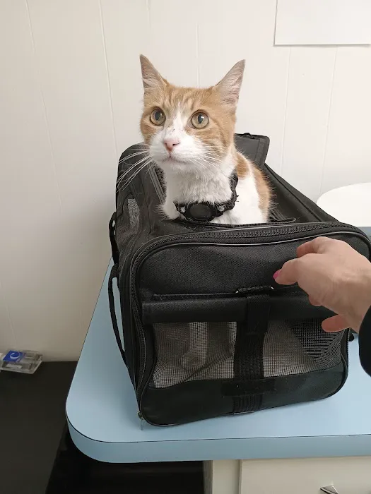 Beach Garfield Veterinary Hospital Picture 3
