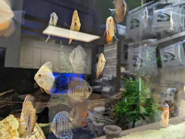 CTE Aquatics Picture 7