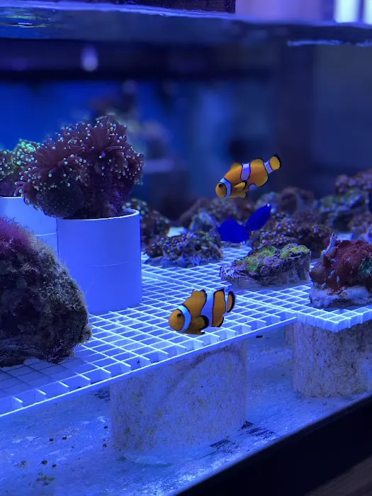 CTE Aquatics Picture 8