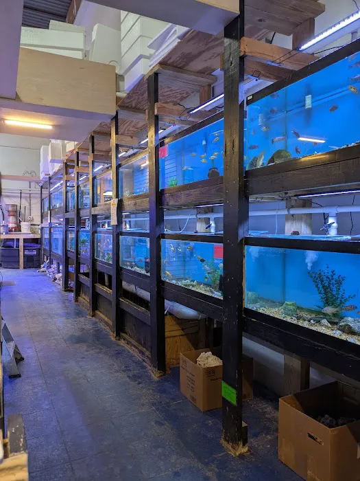 CTE Aquatics Picture 5