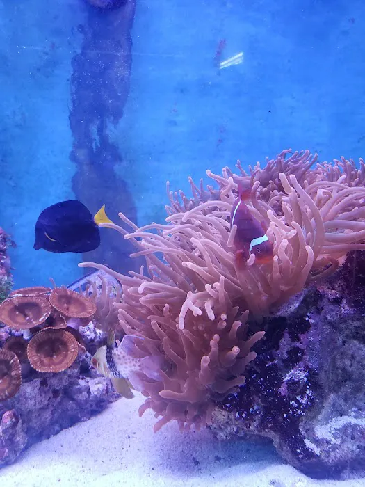 CTE Aquatics Picture 2