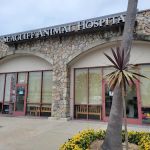 Seacliff Animal Hospital