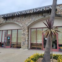 Seacliff Animal Hospital ico