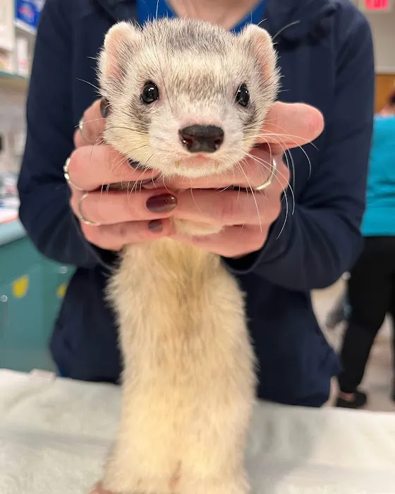 Seacliff Animal Hospital Picture 5