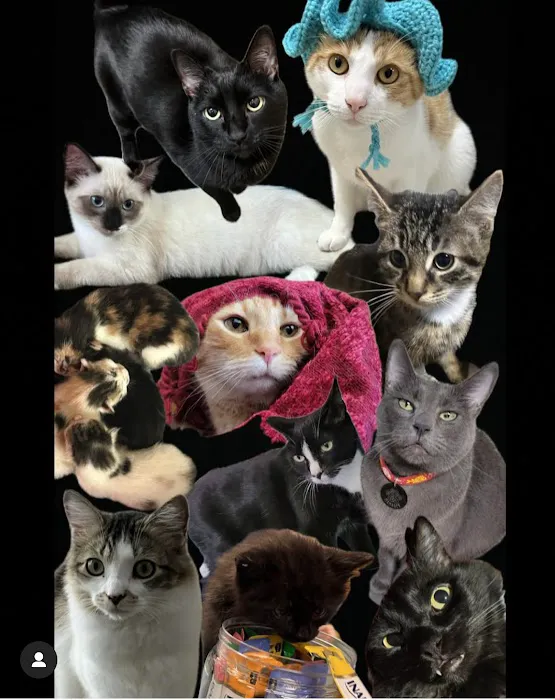 Seacliff Animal Hospital Picture 9