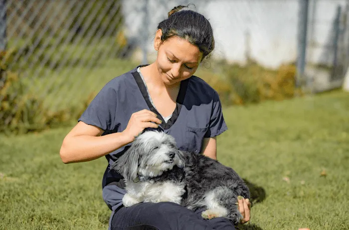 Huntington Beach Veterinary Hospital Picture 7