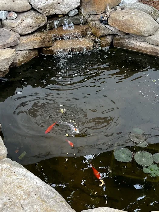Golden Dragon Gardens Picture 4