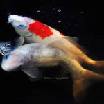 Golden Dragon Gardens